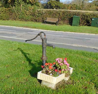 Nettlestone Green Pump