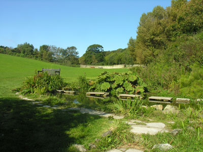 Flowers Brook, Ventnor