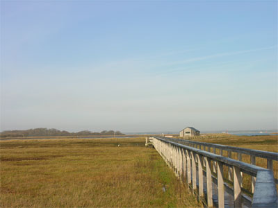 Newtown Nature Reserve