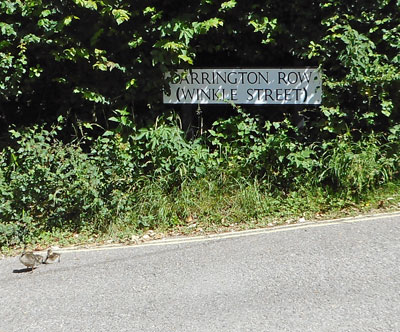 Barrington Row (Winkle Street) street sign (and ducks!)