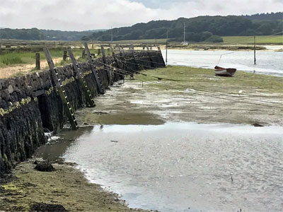 Newtown Nature Reserve - quay at low tide