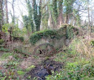 Ruin of Bridgecourt Watermill - 2022