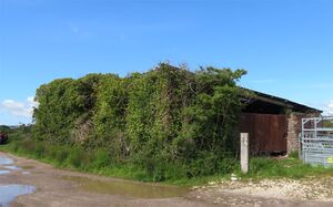 Carpenters brickworks building (2021)