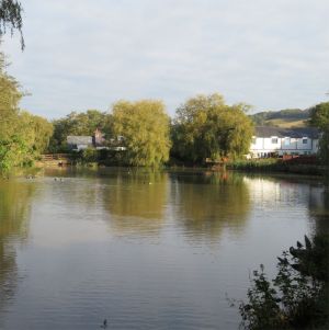 Blackwater Mill Pond