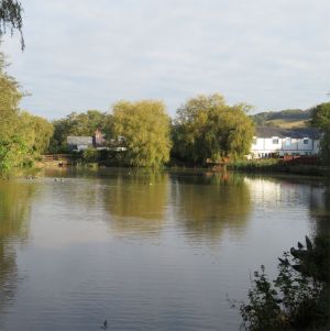 Blackwater Mill Pond