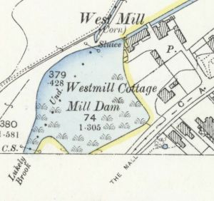 West Mill pond, Carisbrooke Road, Newport
