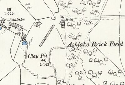 Ashlake Brick Field, Fishbourne