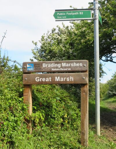 RSPB Brading Nature Reserve