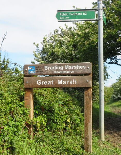 File:Brading-marshes.jpg