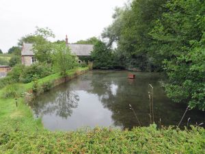 Calbourne Lower Mill and Mill Pond