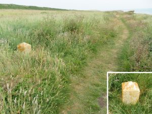 Shepard Compton Chine milestone