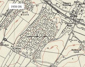 Early development of Alverstone Garden Village 1938