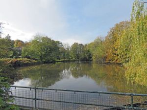 Priory Mill Pond - from the site of the mill