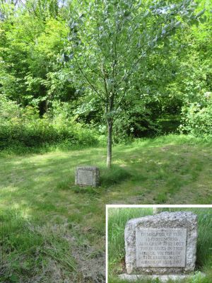 Air Crash memorial tree and stone in chalk pit