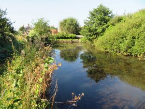 Brighstone Mill Pond