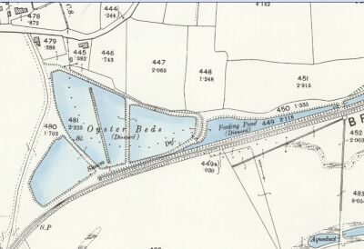 St Helens Oyster Beds (dis-used) on 1896 map