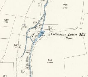 Calbourne Lower Mill - 1896 map